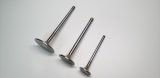 Ferrea Honda D16Z6/Y5/Y7/Y8 26mm 5.46mm 22 Deg Flo Rad Grv Stock 6000 Series Exh Valve - Set of 8 thumbnail 2