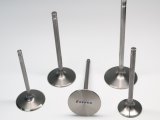 Ferrea Chevrolet LSX DR Head 2.25in 0.31in 6.29in 13 Deg Flo Rad Grv Ti Comp Intake Valve - Set of 8 thumbnail 2