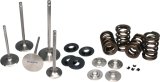 Ferrea Nissan GT-R VR38DETT Dual Spring Kit thumbnail 1