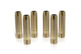 Ferrea Toyota 2JZGE/2JZGTE Std Intake Valve Guide - Set of 12 (Use w/VS1009) thumbnail 1