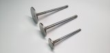 Ferrea Toyota G16E-GTS 32mm Head 5.47mm Stem Dia Competition Plus Exhaust Valve - Set of 6 thumbnail 1