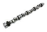 COMP Cams Camshaft P8 XR276HR-10 thumbnail 3