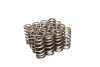 COMP Cams Valve Springs Ford 4.6L 2 Valve thumbnail 6