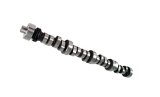COMP Cams Camshaft FW XE266HR-12 thumbnail 2