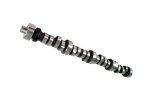 COMP Cams Camshaft FW XE266HR-12 thumbnail 7