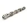 COMP Cams Camshaft GM Gen V LT1 Ltav 26 thumbnail 6