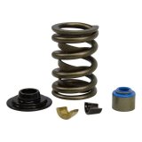 COMP Cams Ford GT40 / GT40P Cylinder Head Valve Spring Kit thumbnail 4