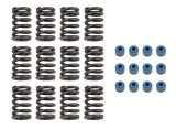 COMP Cams 88-06 Jeep 4.0L .450in Lift Valve Springs Kit thumbnail 1