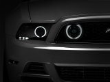 Raxiom 13-14 Ford Mustang GT CCFL Halo Fog Lights (Smoked) thumbnail 1