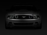 Raxiom 13-14 Ford Mustang GT CCFL Halo Fog Lights (Smoked) thumbnail 7