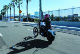 Burly Brand Tall Sissy Bar 20in - Chrome thumbnail 4