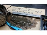 Sinister Diesel 03-07 Ford 6.0L Oil Filter & Coolant Filtration System thumbnail 4