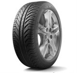 Michelin Pilot Sport A/S Plus (V) 295/35R20 105V thumbnail 1
