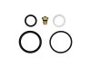ICON 2.5 IFP Rebuild Kit thumbnail 4