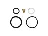 ICON 2.5 IFP Rebuild Kit thumbnail 5