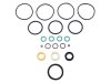 ICON 2.5 Piggyback/Remote Resi/Bypass Rebuild Kit thumbnail 4