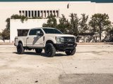 Road Armor 17-20 Ford F-250 SPARTAN Front Bumper Bolt-On Pre-Runner Guard - Tex Blk thumbnail 9