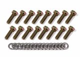 Weld Oval Midget/Sprint Beadlock Bolt Kit 13in./15in. (16 Bolts/16 Washers 5/16-18X1) thumbnail 2