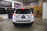Diode Dynamics 17-18 Subaru Forester Premium (USDM) Tail as Turn +Backup Module Module Only thumbnail 4