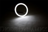Diode Dynamics Halo Lights LED 50mm Switchback (Pair) thumbnail 5