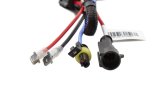 Diode Dynamics HID Bulb D2H 8000K (Pair) thumbnail 3