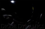 Diode Dynamics 39mm HP6 LED Bulb LED Warm - White (Single) thumbnail 8