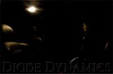 Diode Dynamics 39mm HP6 LED Bulb LED - Blue (Single) thumbnail 5