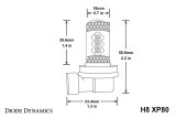 Diode Dynamics H8 XP80 LED - Cool - White (Pair) thumbnail 5