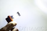 Diode Dynamics H11 XP80 LED - Cool - White (Pair) thumbnail 6