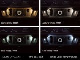 Diode Dynamics 194 LED Bulb HP5 LED Pure - White (Pair) thumbnail 7