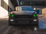 Diode Dynamics 15-17 Ford Mustang RGBW DRL LED Boards thumbnail 3