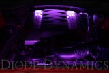 Diode Dynamics RGBW Engine Bay Strip Kit 4pc Multicolor thumbnail 4