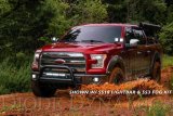 Diode Dynamics 15-20 Ford F-150/Raptor Ditch Light Brackets thumbnail 9