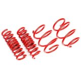 AST Suspension Tesla Model 3 Long Range AWD Lowering Springs - 30mm thumbnail 1