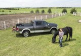 Truxedo 73-96 Ford F-150/250/250 HD/350 8ft TruXport Bed Cover thumbnail 6