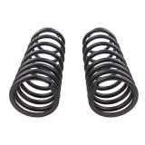ARB OME Prado 250 Coil Spring - Rear thumbnail 1