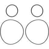 Camburg 2.25/2.50 Rear Hub O-ring Kit thumbnail 1