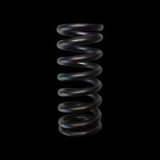 Brian Crower Honda L15 Single Valve Springs (Set of 16) thumbnail 1