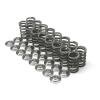 Brian Crower Nissan SR2-DE-T Titanium Retainers thumbnail 2
