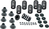 S&S Cycle 2017+ M8 Models Valve Spring Kit - .605in thumbnail 2