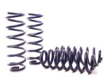 H&R 18-21 Audi Q5 Premium/Q5 Premium Plus/Q5 Prestige (AWD) FY Adventure Raising Spring thumbnail 2