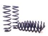 H&R 18-21 Audi Q5 Premium/Q5 Premium Plus/Q5 Prestige (AWD) FY Adventure Raising Spring thumbnail 6