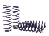 H&R 18-21 Audi Q5 Premium/Q5 Premium Plus/Q5 Prestige (AWD) FY Adventure Raising Spring thumbnail 8