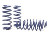 H&R 09-17 Audi Q5 Premium/Q5 Premium Plus/Q5 Prestige (AWD) 8R Adventure Raising Spring thumbnail 1