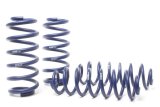 H&R 09-17 Audi Q5 Premium/Q5 Premium Plus/Q5 Prestige (AWD) 8R Adventure Raising Spring thumbnail 3