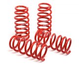 H&R 04-06 BMW 525i/530i/545i E60 Race Spring (w/o Self Leveling) thumbnail 5