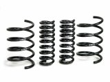 H&R 01-06 Mercedes-Benz C240/C320/C55 AMG W203 Sport Spring thumbnail 4