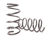 H&R 03-06 BMW 760i/760Li E65 Sport Spring (w/ Self Leveling & EDC) thumbnail 4