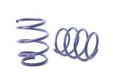 H&R 04-07 BMW 525i/530i E60 Sport Spring (w/Self Leveling) thumbnail 1
