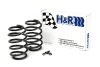H&R 00-06 BMW X5 E53 Sport Spring (Air Ride Rear Susp. Only) thumbnail 7